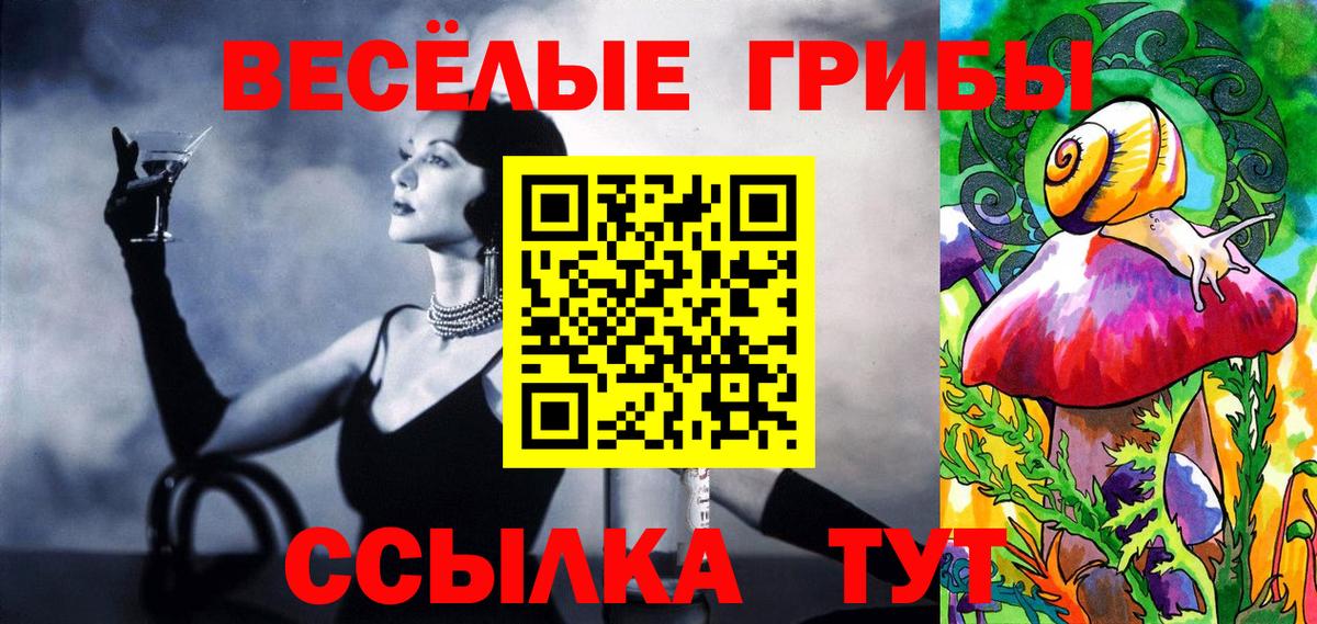Котельники  Галлюциногенные грибы Psilocybe  Вход с VPN 